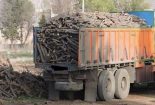 حمل چوب برداشت شده در اراضی ملی و مستثنیات بدون مجوز ممنوع است