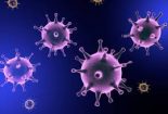 ویروس کورونا چیست؟!