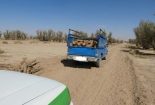 کشف بیش از هزار کیلوگرم چوب گز قاچاق در شهرستان بافق