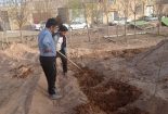 پویش بذرکاری بادام با شعار نذر سبز مادری در شهرستان بافق